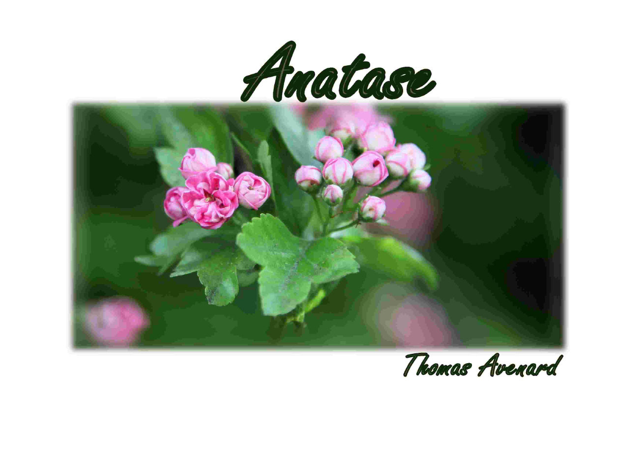 anatase livre photos