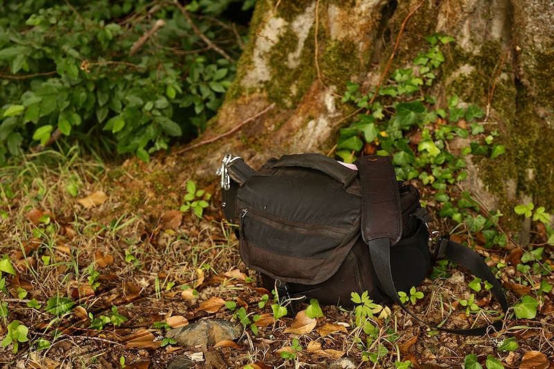 Lowepro review test photo porn porno camera bag sac sacoche appareil photo Lowepro nova 180 AW noir black forêt forest arbre tree