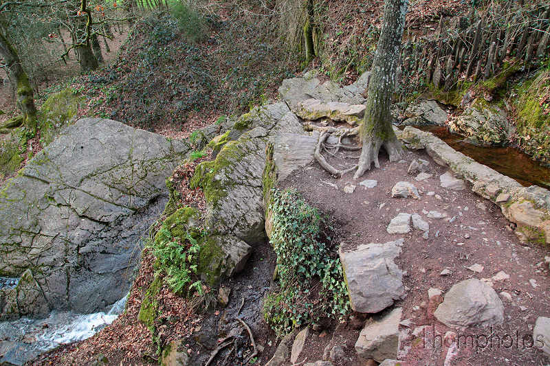 reportage 2012 bretagne sud breizh izel kenavo J12 jour 12 légende forêt de brocéliande roi arthur merlin l'enchanteur fée viviane morgane fontaine de jouvence val sans retour lancelot du lac charme