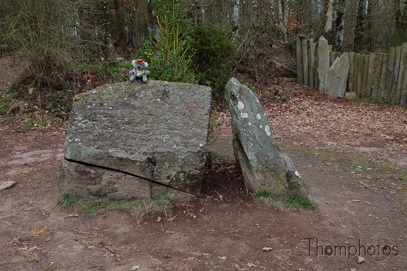 reportage 2012 bretagne sud breizh izel kenavo J12 jour 12 légende forêt de brocéliande roi arthur merlin l'enchanteur fée viviane morgane fontaine de jouvence koala jones gardien tombeau prison de Merlin dalle de pierre vieux pied de houx druide