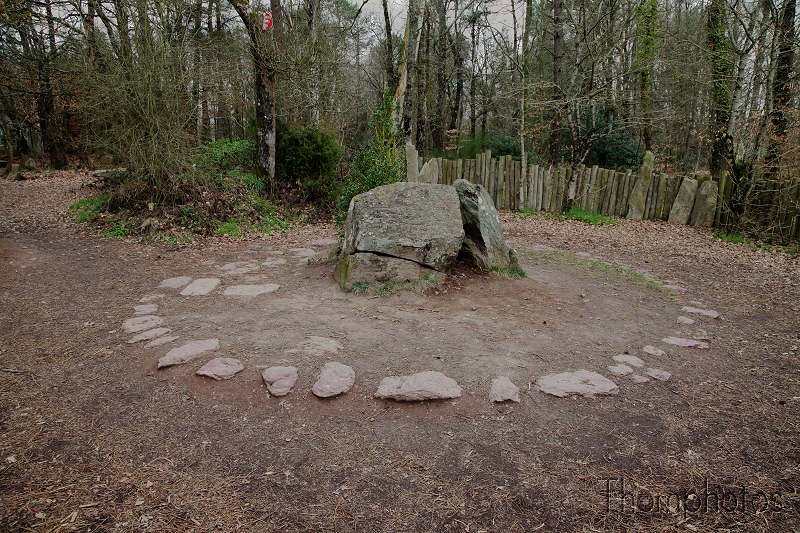 reportage 2012 bretagne sud breizh izel kenavo J12 jour 12 légende forêt de brocéliande roi arthur merlin l'enchanteur fée viviane morgane fontaine de jouvence tombeau prison de Merlin dalle de pierre vieux pied de houx druide