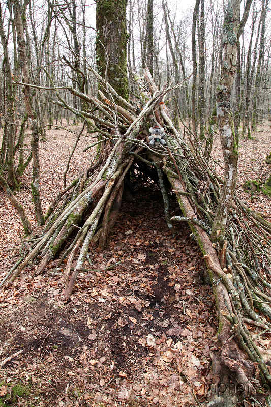 reportage 2012 bretagne sud breizh izel kenavo J12 jour 12 légende forêt de brocéliande roi arthur merlin l'enchanteur fée viviane morgane fontaine de jouvence koala jones gardien hutte en bois