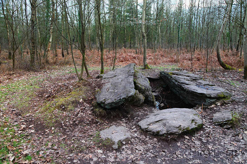 reportage 2012 bretagne sud breizh izel kenavo J12 jour 12 légende forêt de brocéliande roi arthur merlin l'enchanteur fée viviane morgane fontaine de jouvence val sans retour tombeau des du géants menhir chevaliers de la table ronde