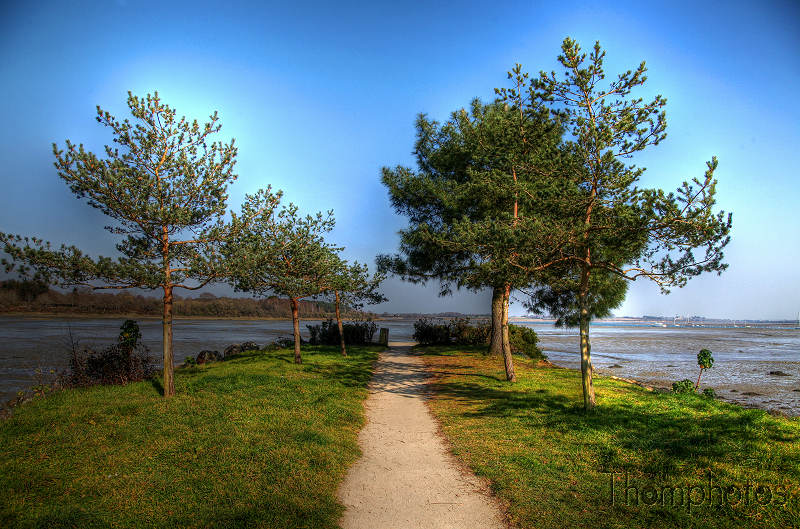reportage 2012 bretagne sud breizh izel kenavo J3 jour 3 ville de vannes vanne gwened fortifiée moyen-âge moyen âge île presqu'île presque-île presque de Conleau golf du morbihan petite mer golfe hdr high dynamic range allée arbres pins maritimes sapins