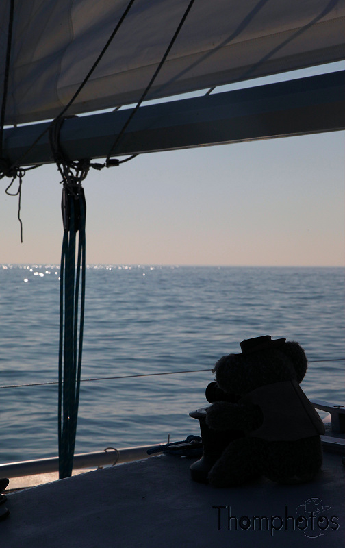 reportage 2012 bretagne sud breizh izel kenavo J4 jour 4 Catamaran catpat patou golfe du morbihan petite mer sortie en mer bateau navire vaisseau marin voilier monocoque bicoque voile cordages drisses contre jour contrejour contre-jour koala jones mascotte peluche koala photographe