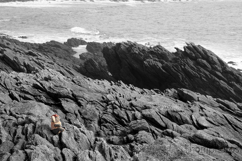 reportage 2012 bretagne sud breizh izel kenavo J5 jour 5 côte sauvage roches noir et blanc nb désaturation partielle koala jones peluche mascotte