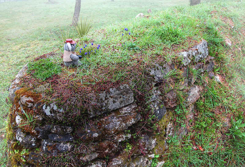 reportage 2012 bretagne sud breizh izel kenavo J5 jour 5 Brume légende mythe pluie mauvais tems jamais de soleil mascotte peluche koala jones