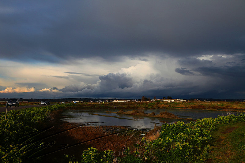 reportage 2012 bretagne sud breizh izel kenavo J8 jour 8 sel de guérande sel marain marais salant terre de sel monnaie condiment fleur de sel paludier oeillet cristallisoir eau de mer structure digue argile nuages