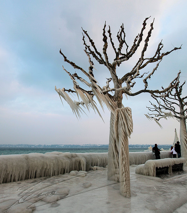 reportage versoix 2012 lac de genève léman gelé quai vent tempête gel glace -15°C 120km/h 120 km / h arbre sculpture