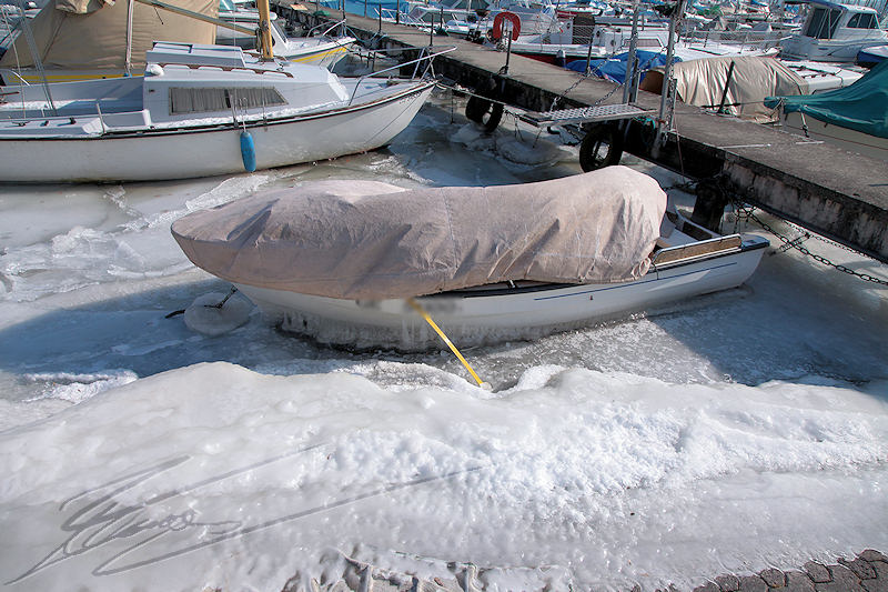 reportage versoix 2012 lac de genève léman gelé quai vent tempête gel glace -15°C 120km/h 120 km / h bateau arbre sculpture