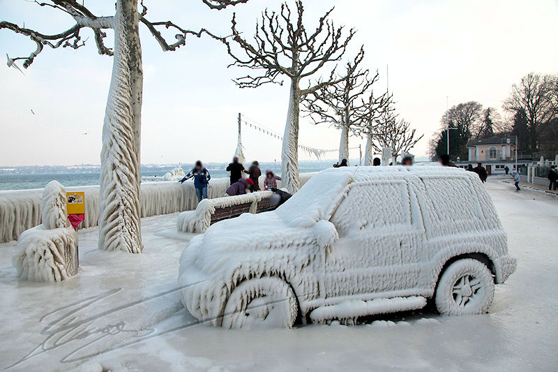 reportage versoix 2012 lac de genève léman gelé quai vent tempête gel glace -15°C 120km/h 120 km / h voiture arbre jeep sculpture