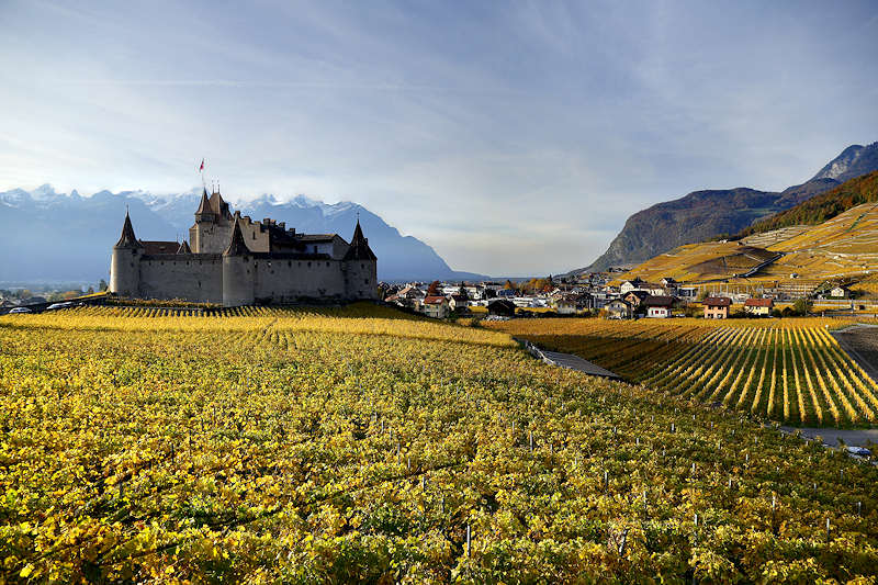 reportage 2014 suisse swiss valais vaud aigle lac léman de genève ville montagne mountain château castel médiéval middleaged middle age forteresse vigne vin vine grappe raisin