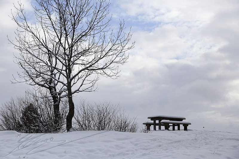 reportage 2016 france annemasse vetraz monthoux week-end neige snow winter blanc white froid cold Castor salève champs arbre tree forêt forest