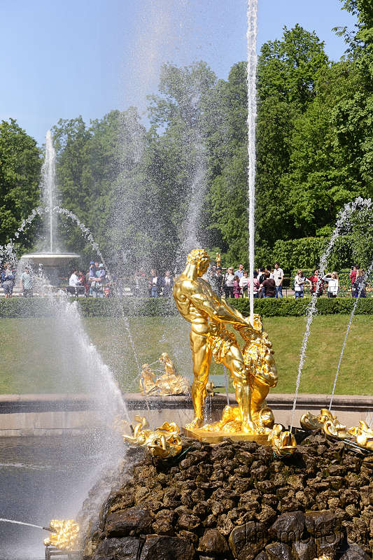 reportage photo 2018 russie saint petersbourg petrograd architecture peterhof pierre le grand palais palace parc damier fontaine statue or gold samson et lion suédois suède guerre du nord