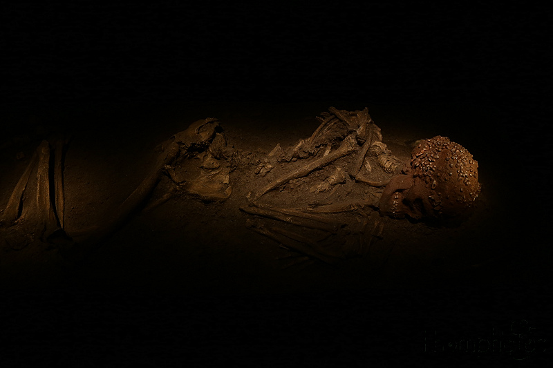 reportage photo été 2021 france eurodisney mickey paris disney disneyland musée de l'Homme squelette skeleton trépanation head skull crâne