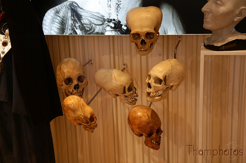 reportage photo été 2021 france eurodisney mickey paris disney disneyland musée de l'Homme crânes déformés skull